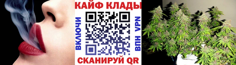 Что такое Торжок Бутират  Псилоцибиновые грибы  Канабис  Альфа ПВП  Амфетамин  COCAIN 