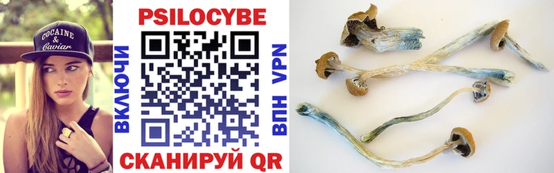 Псилоцибиновые грибы прущие грибы  наркотики  Торжок 